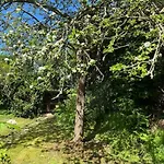 Jolie Maison A La Campagne « chez Germaine » Digosville