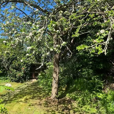Jolie Maison A La Campagne « chez Germaine » Digosville
