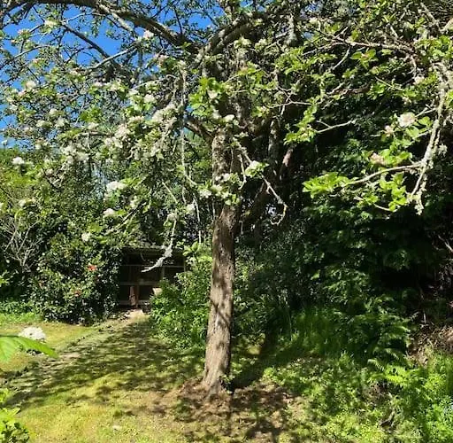 Jolie Maison A La Campagne « chez Germaine » Digosville